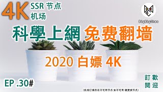 科学上网 : 4K机场 免费翻墙 ssr节点 实测6W速度 翻墙vpn 2020免费翻墙方法 免费vpn （2020）EP . 30#
