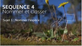 Séquence 4 sujet 1 : Nommer l’espèce