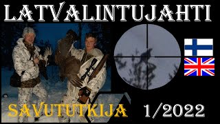 Metso ja teeri - Latvalintujahti 2022 - Capercaillie and Black Grouse hunting in January in Finland