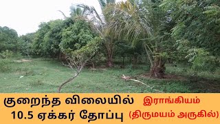 குறைந்த விலையில் 10.5 ஏக்கர் தோப்பு ll Low Price Land for Sale ll 10.5 Acres Land for Sale ll Farms