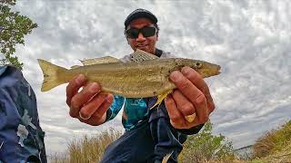 TOP WATER WHITING, Where and How ( Fishing in Mandurah)