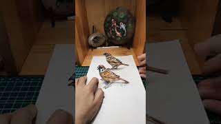 ❤️3d Drawing Birds | Creative Drawing Ideas—Catch This Bird❤️#shorts #3dart #3ddrawing
