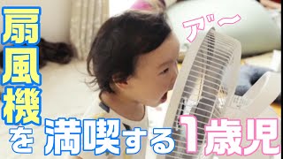 【夏到来！】扇風機を満喫する1歳児