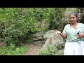 travel with sajee මාලිගාතැන්න රජමහා විහාරය