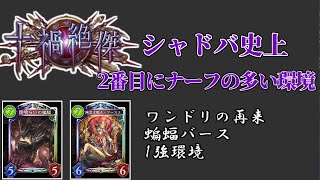 ワンドリの再来？十禍絶傑環境！！蝙蝠バースの向こう側へ　史上2番目にナーフの多いパックの環境はどうだったか？【シャドバ】【シャドウバース】【シャドバの歴史】