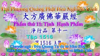 Đại Phương Quảng Phật Hoa Nghiêm Kinh, tập 1516