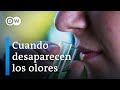 ¿Cómo es vivir sin olfato? | DW Documental