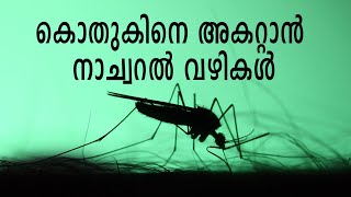 കൊതുകിനെ അകറ്റാന്‍ നാച്വറല്‍ വഴികള്‍ | Natural ways to get rid of mosquitoes