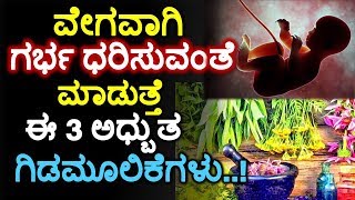 ವೇಗವಾಗಿ ಗರ್ಭ ಧರಿಸುವಂತೆ ಮಾಡುತ್ತೆ ಈ 3 ಅಧ್ಬುತ ಗಿಡಮೂಲಿಕೆಗಳು..!