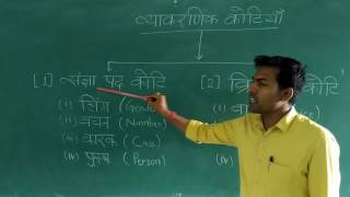 Hindi Grammar - Vyakaranik koti ( हिंदी व्याकरण - व्याकरणिक कोटियाँ )