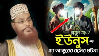 রাসুল সাঃ ও ইউনুস আঃ এর আঙ্গুরের রসের ঘটনা।। আল্লামা দেলোয়ার হোসেন সাঈদি Dalwar Hossain Saidi 2025