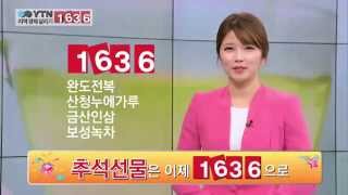 YTN과 1636이 함께하는 지역경제 살리기 프로젝트