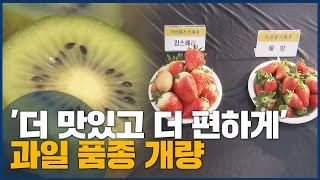 '더 맛있고 더 편하게'...과일 품종 개량