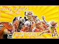 ಬೊಳ್ಜೆ ಟೈಗರ್ಸ್ ಉದ್ಯಾವರ ಹುಲಿವೇಷ ಕೃಷ್ಣ ಜನ್ಮಾಷ್ಟಮಿ | BOLJE TIGERS UDYAVARA TIGER DANCE | UDUPI