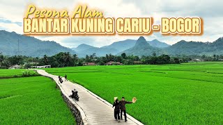 PESONA ALAM SAWAH KOROD BANTAR KUNING CARIU BOGOR