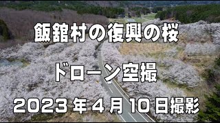 飯舘復興の桜  空撮　2023年4月10日