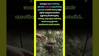 ಮನುಷ್ಯರು ಸ್ಪರ್ಶಿಸಿದರೆ ಹಕ್ಕಿ ತನ್ನ ಮರಿಗಳನ್ನು ತ್ಯಜಿಸುತ್ತದೆಯೇ?🐦🐣