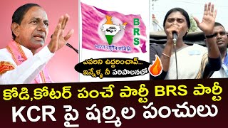 కోడి,కోటర్ పంచే పార్టీ BRS పార్టీ అంటూ...KCR పైన షర్మిల పంచులు | Ys Sharmila Punches On KCR | GP