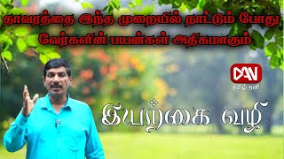 இயற்கை வழி | 29.01.2025 |தாவரத்தை இந்த முறையில் நாட்டும் போது வேர்களின் பயன்கள் அதிகமாகும்