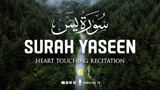 The most beautiful recitation of Surah Yasin (Yaseen) سورة يس  ⋮ Zikrullah TV