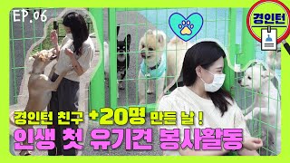 [경인턴'갓생'프로젝트_EP.06] 유기견 봉사활동은 처음인데요 🙌 경인턴의 사랑 나누기 🐶❤