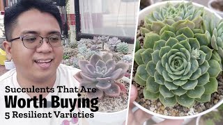 Succulents That Are WORTH BUYING / Resilient Types You Should Try!