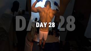 28 / 365 days fitness challenge #homeworkout #letsgoproject #bicep #back