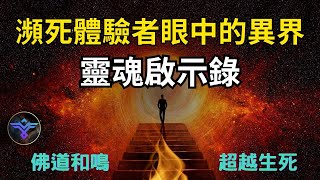 瀕死體驗的啟示：生死一線間，瀕死體驗的人究竟看到了什麼？佛道和鳴，探索生死與靈魂 #開悟 #覺醒 #靈性成長