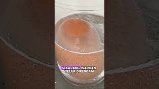 🎥 Eksperimen Seru: Telur Ajaib! 🥚