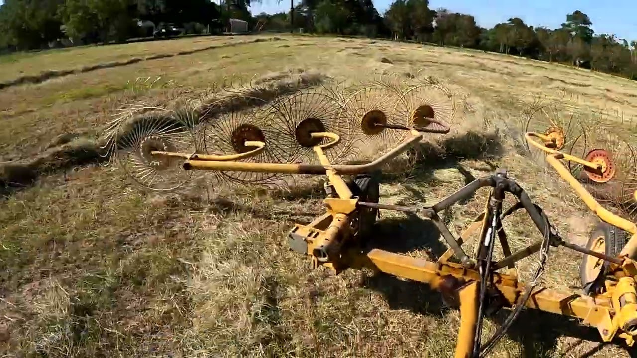 Second Hay Cutting - YouTube