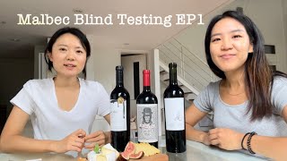 아르헨티나 말벡 와인 3종 블라인드 테스팅 Blind Testing de tres Malbec Argentino ep1