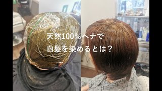 【解説付き】天然100％ヘナで白髪を染めるとは？