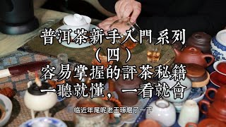 普洱茶新手入门系列（四）容易掌握新手评茶窍门，一听就懂。