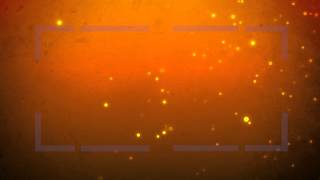 Motionbolt.com - Warm Flurries