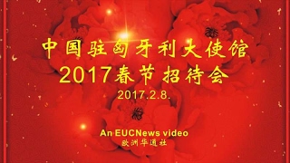 中国驻匈牙利大使馆2017春节招待会