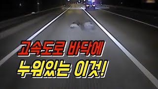 752회. 밤에 고속도로에서 바닥에 떨어진 ㅇㅇㅇ를 피할 수 있을까요?