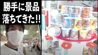 【景品最多獲得】クレーンゲームでよゐこがようやく名誉挽回！？