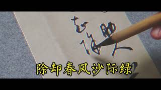 草书创作，宋—王安石《送合甫至龙安微雨》荒烟凉雨助人悲，#書法 #汉字 #传统文化 #毛筆字