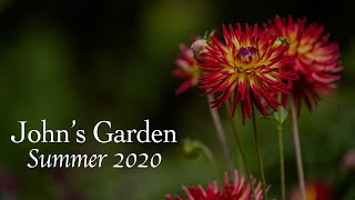 John's Garden at Ashwood Nurseries - Summer 2020