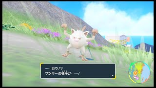 SVのポケモン　マンキー レベル28の進化