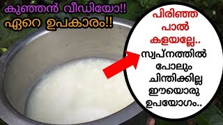 പിരിഞ്ഞ പാൽ കളയല്ലേ|സ്വപ്നത്തിൽ പോലും ചിന്തിക്കാത്ത ഒരു ഉപയോഗമുണ്ട്|Reuse spoiled  milk