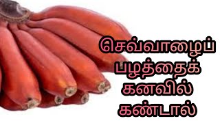 செவ்வாழைப்பழத்தைக் கனவில் கண்டால்|sevvalaipalathai kanavil kandal |red banana in dream|Anita's clips