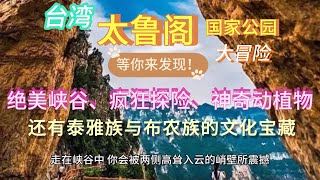 探秘【台湾太鲁阁国家公园】：绝美峡谷奇观、刺激探险活动、丰富动植物生态以及泰雅族与布农族的历史文化宝藏全攻略