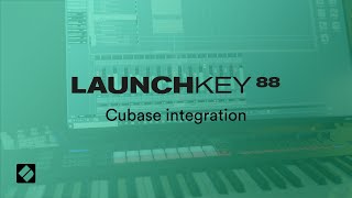 Launchkey 88 - Cubase integration // Novation