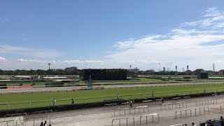 2019年9月28日　中山競馬場　5R ライブ