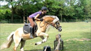 Hindernissen Springen met Bolero - Jumping with my horse Bolero - READ description!