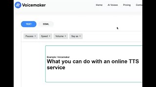 Voicemaker What you can do with an online TTS service