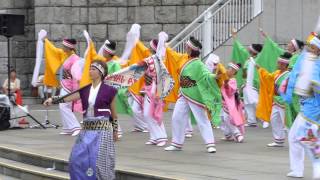 子鳩子兎横浜百姫隊(2014ハマこい・\