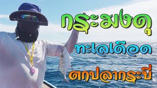 ตกปลากระมง ตกปลากระบี่ กระมงโคตรดุ สัมผัสวิถีชิวิตชาวประมงกระบี่ 3 วัน 2 คืน บนเรือหางยาว
