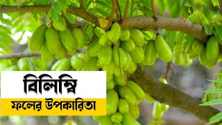 বিলিম্বি ফলের উপকারিতা ও গুণাগুণ